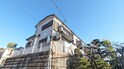 テラスハウス森