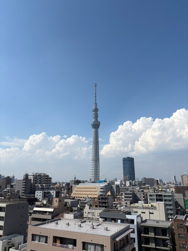 室内からの展望