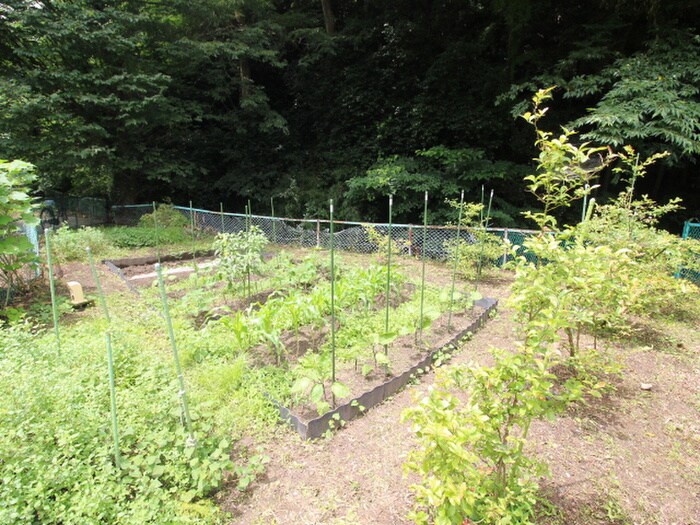 物件外観写真4　(周辺環境)