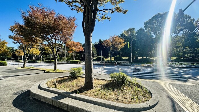 物件外観写真2　(周辺環境)