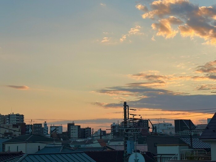 物件内観写真16　(室内からの展望)