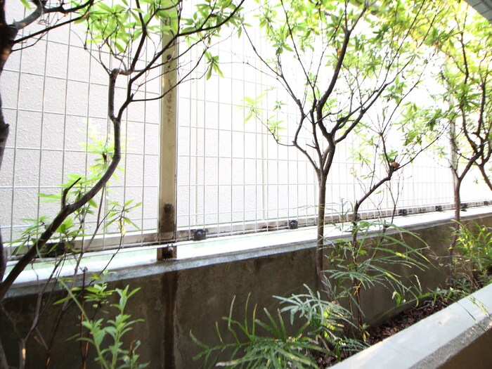 物件内観写真22　(室内からの展望)