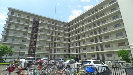 ﾗｲｵﾝｽﾞﾏﾝｼｮﾝ青戸（709）外観写真