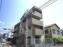 Ｋａｎｅ　Ｊｉｙｕｕｇａｏｋａ