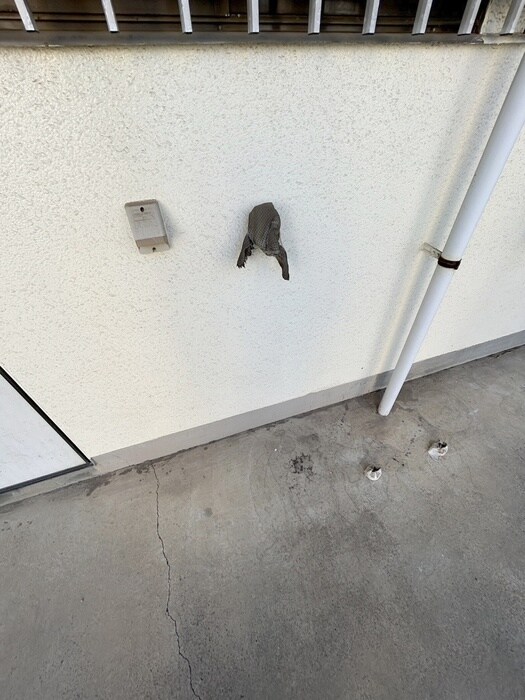 物件内観写真19　(洗濯機置場)