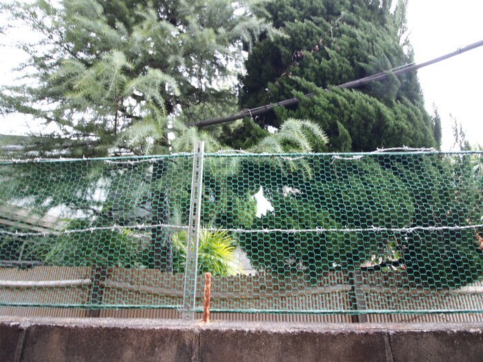 物件内観写真16　(室内からの展望)