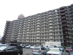 相模大野ﾊｲﾗｲｽﾞ（123）外観写真