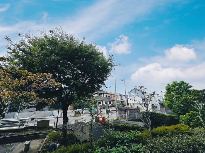 内観写真