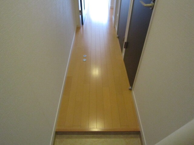 物件内観写真11　(廊下)