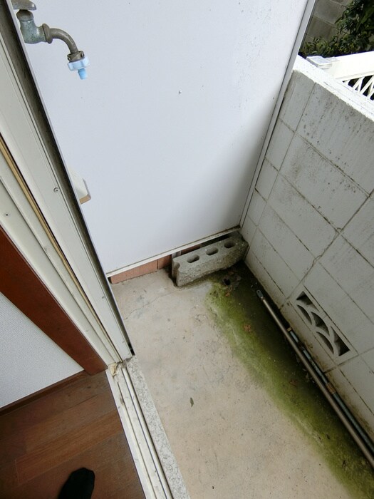 物件内観写真19　(洗濯機置場)