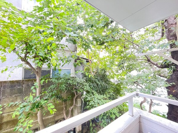 室内からの展望