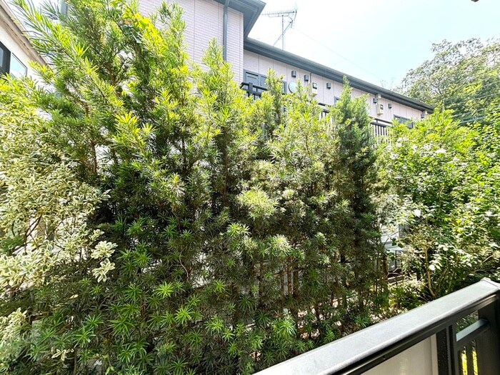 物件内観写真22　(室内からの展望)