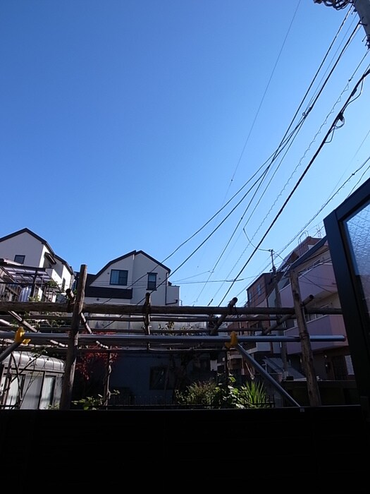 物件内観写真10　(室内からの展望)