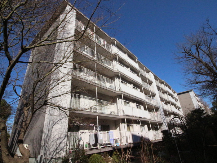 宮前平ｸﾞﾘｰﾝﾊｲﾂ46号棟(404)