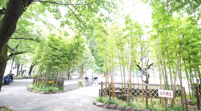 物件内観写真19　(周辺環境)