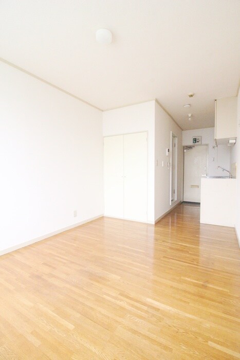 グリ－ンハウスの靴箱