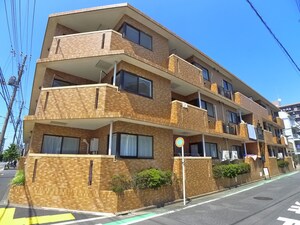 ﾗｲｵﾝｽﾞﾏﾝｼｮﾝ柴又第3(303)外観写真