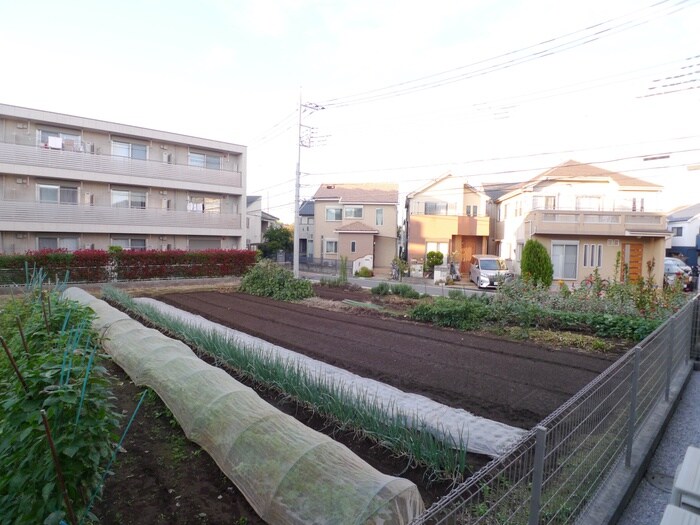 物件内観写真16　(室内からの展望)