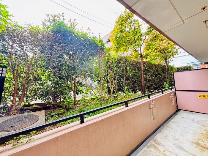 物件内観写真22　(室内からの展望)