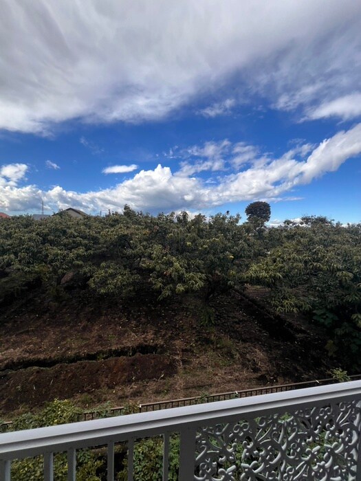 物件内観写真19　(室内からの展望)