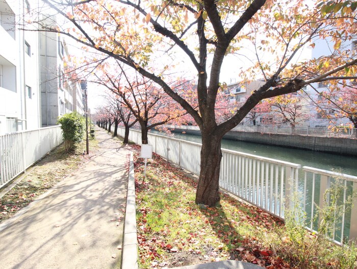 プランドールカワシマの周辺環境