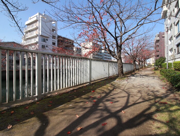 プランドールカワシマの周辺環境