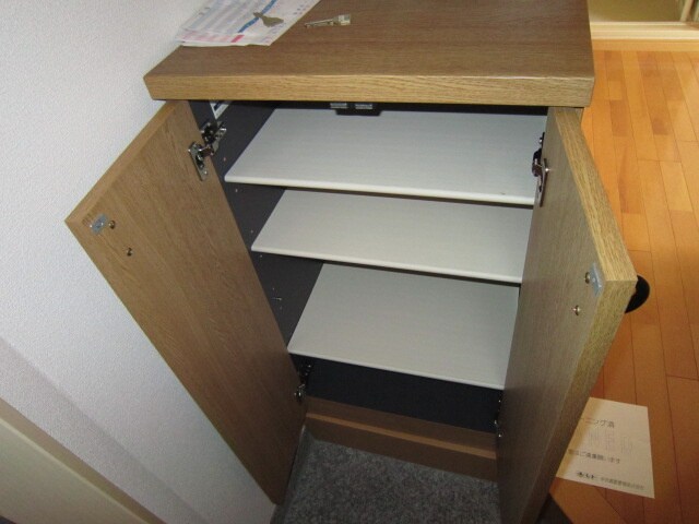 物件内観写真11　(靴箱)