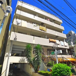 ﾄｰｶﾝ柏ｷｬｽﾃｰﾙ(414)外観写真