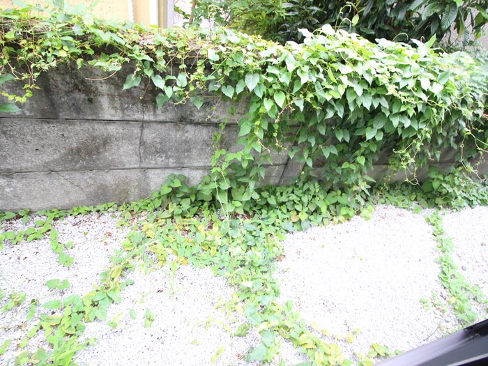 物件内観写真19　(ベランダ・バルコニー)