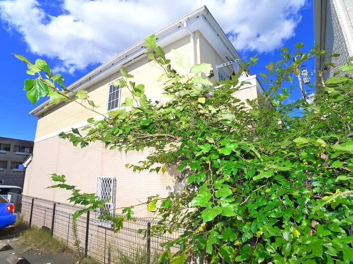 物件外観写真6　(外観写真)