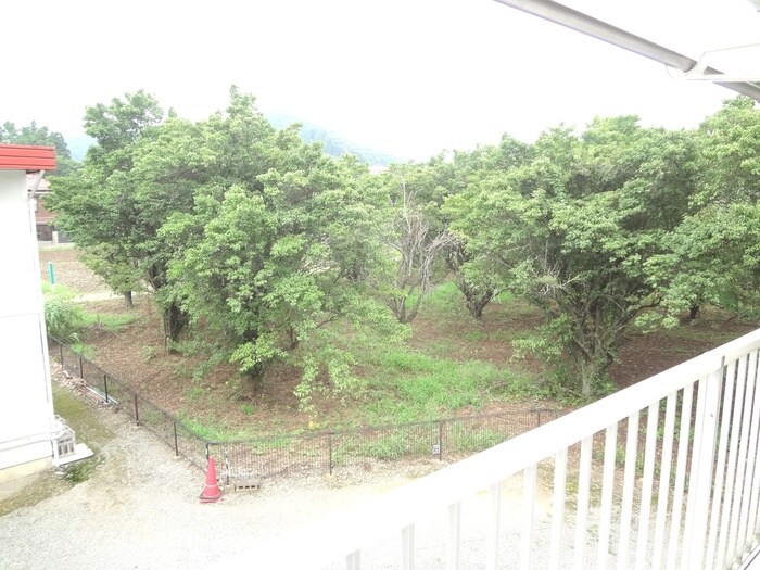 物件内観写真16　(室内からの展望)