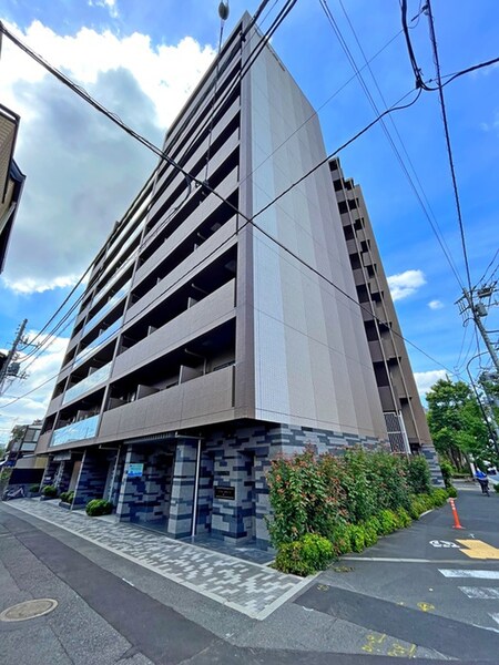 DIPS十条仲原EAST（501）外観写真