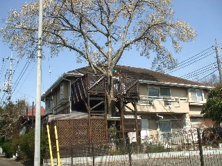 北島ハイツ