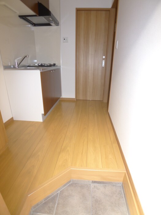 物件内観写真19　(玄関)