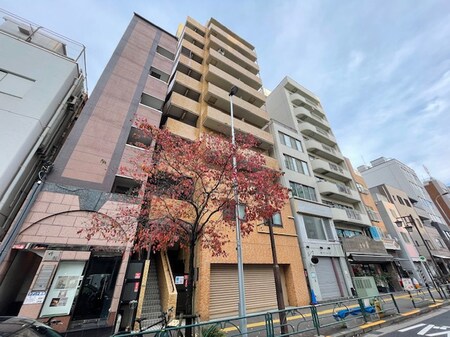 ﾗｲｵﾝｽﾞﾏﾝｼｮﾝ文京根津(303)外観写真