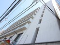 パピリオーテ西横浜　（703）