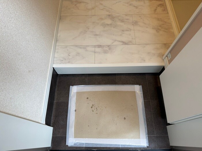 物件内観写真18　(玄関)