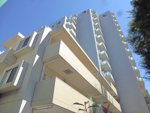 ﾀﾞｲｱﾊﾟﾚｽ上石神井ﾚｼﾞﾃﾞﾝｽ（304)外観写真