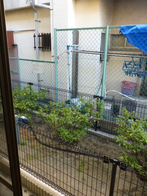 物件内観写真16　(室内からの展望)