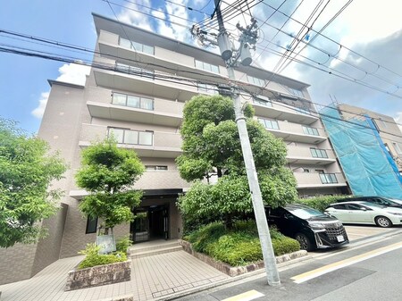 菜の花の街　葛野外観写真
