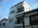 Ｍ・Ｓ・ＭＡＲＵＫＯＳＨＩ