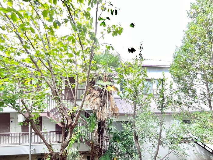 物件内観写真21　(室内からの展望)