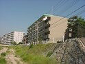 仁川グランドハイツ（７０７）