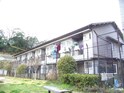 額田文化