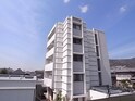 ＬＡＰＡＺ　ＡＳＨＩＹＡ