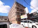 シルフィード・ドゥ・摩耶