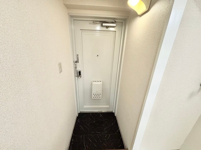 物件内観写真19　(玄関)