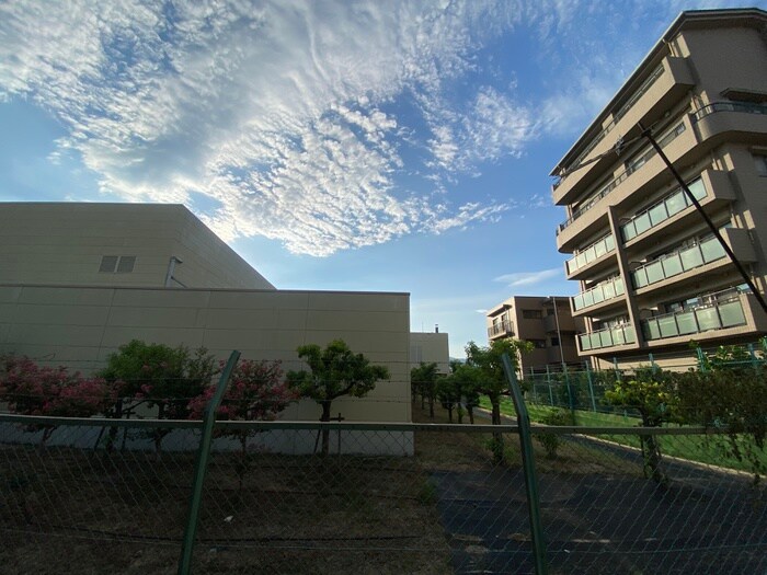 物件内観写真17　(室内からの展望)