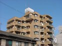 太平ﾊﾟｼﾌｨｯｸ桑津Ⅱ　２０１