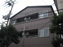 アヴァンス